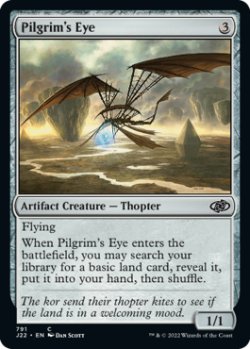 画像1: 巡礼者の目/Pilgrim's Eye 【英語版】 [J22-灰C]