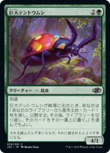 巨大テントウムシ/Giant Ladybug 【日本語版】 [J22-緑C]