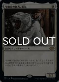 今田家の猟犬、勇丸/Isamaru, Hound of Konda 【日本語版】 [J22-白R]