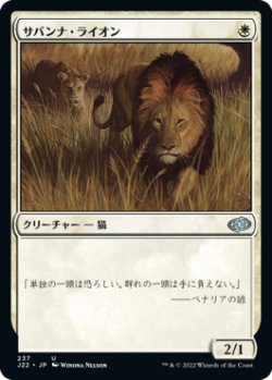 画像1: サバンナ・ライオン/Savannah Lions 【日本語版】 [J22-白U]