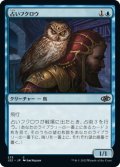 占いフクロウ/Augury Owl 【日本語版】 [J22-青C]