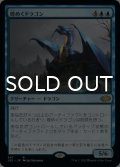 煌めくドラゴン/Shimmer Dragon 【日本語版】 [J22-青R]