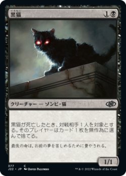 画像1: 黒猫/Black Cat 【日本語版】 [J22-黒C]