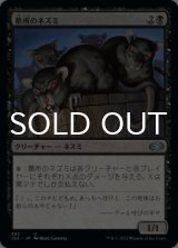 墓所のネズミ/Crypt Rats 【日本語版】 [J22-黒U]