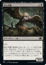 貪る禿鷹/Gorging Vulture 【日本語版】 [J22-黒C]
