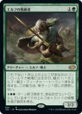 エルフの戦練者/Elvish Warmaster 【日本語版】 [J22-緑R]