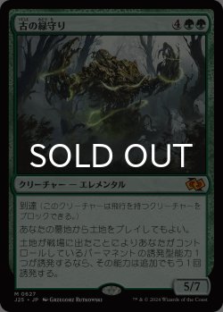 画像1: 古の緑守り/Ancient Greenwarden 【日本語版】 [J25-緑MR]