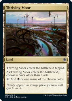 画像1: 興隆する湿地帯/Thriving Moor 【英語版】 [JMP-土地C]