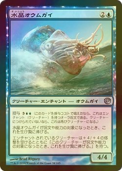 画像1: [FOIL] 水晶オウムガイ/Crystalline Nautilus 【日本語版】 [JOU-青U]