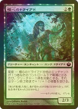 画像1: [FOIL] 樫心のドライアド/Oakheart Dryads 【日本語版】 [JOU-緑C]