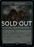 終末の祟りの先陣/End-Raze Forerunners 【日本語版】 [KHC-緑R]
