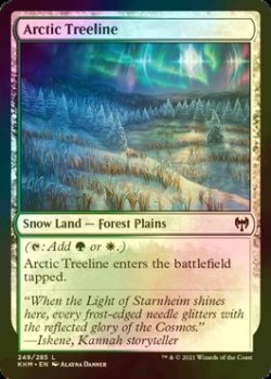 画像1: [FOIL] 極北の並木/Arctic Treeline 【英語版】 [KHM-土地C]