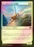 [FOIL] シュタルンハイムの駿馬/Starnheim Courser 【日本語版】 [KHM-白C]