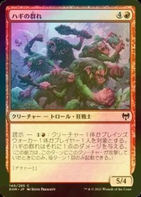 [FOIL] ハギの群れ/Hagi Mob 【日本語版】 [KHM-赤C]