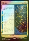 [FOIL] 鴉の警告/The Raven's Warning 【日本語版】 [KHM-金R]