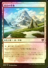 [FOIL] 高山の草地/Alpine Meadow 【日本語版】 [KHM-土地C]