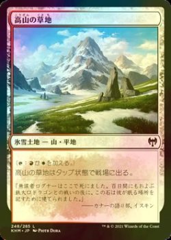 画像1: [FOIL] 高山の草地/Alpine Meadow 【日本語版】 [KHM-土地C]