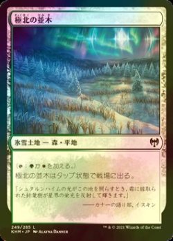 画像1: [FOIL] 極北の並木/Arctic Treeline 【日本語版】 [KHM-土地C]