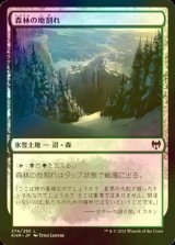 [FOIL] 森林の地割れ/Woodland Chasm 【日本語版】 [KHM-土地C]