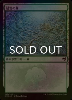 画像1: [FOIL] 冠雪の森/Snow-Covered Forest No.285 【日本語版】 [KHM-土地C]