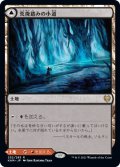 荒廃踏みの小道/Blightstep Pathway 【日本語版】 [KHM-土地R]