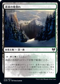 森林の地割れ/Woodland Chasm 【日本語版】 [KHM-土地C]