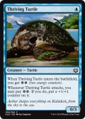亢進する亀/Thriving Turtle 【英語版】 [KLD-青C]