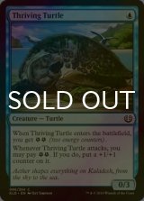 [FOIL] 亢進する亀/Thriving Turtle 【英語版】 [KLD-青C]