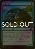 [FOIL] 亢進する亀/Thriving Turtle 【日本語版】 [KLD-青C]