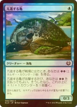 画像1: [FOIL] 亢進する亀/Thriving Turtle 【日本語版】 [KLD-青C]