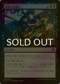 [FOIL] 病的な好奇心/Morbid Curiosity 【日本語版】 [KLD-黒U]