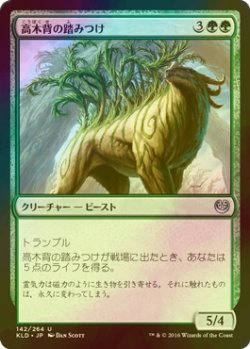 画像1: [FOIL] 高木背の踏みつけ/Arborback Stomper 【日本語版】 [KLD-緑U]