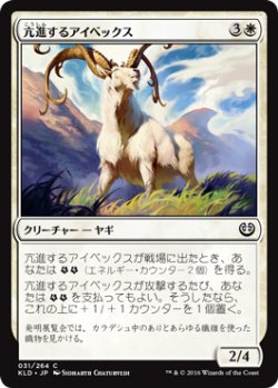 画像1: 亢進するアイベックス/Thriving Ibex 【日本語版】 [KLD-白C]