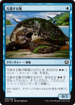画像1: 亢進する亀/Thriving Turtle 【日本語版】 [KLD-青C]