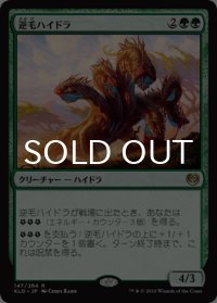 逆毛ハイドラ/Bristling Hydra 【日本語版】 [KLD-緑R]