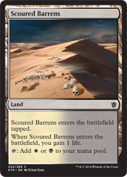 画像1: 磨かれたやせ地/Scoured Barrens 【英語版】 [KTK-土地C]