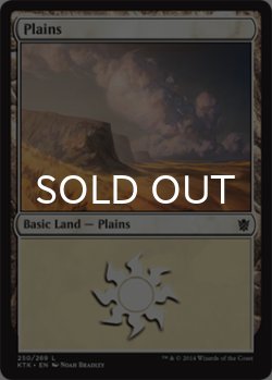 画像1: 平地/Plains No.250 【英語版】 [KTK-土地C]