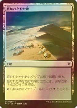 画像1: [FOIL] 磨かれたやせ地/Scoured Barrens 【日本語版】 [KTK-土地C]