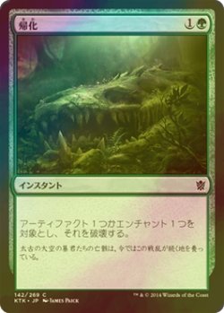 画像1: [FOIL] 帰化/Naturalize 【日本語版】 [KTK-緑C]