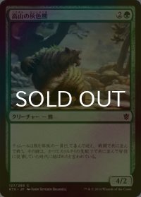 [FOIL] 高山の灰色熊/Alpine Grizzly 【日本語版】 [KTK-緑C]