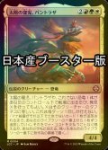 [FOIL] 太陽の寵児、パントラザ/Pantlaza, Sun-Favored ● (日本産ブースター版) 【日本語版】 [LCC-金MR]