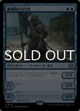 珊瑚兜の司令官/Coralhelm Commander 【日本語版】 [LCC-青R]