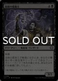 血統の屍術士/Bloodline Necromancer 【日本語版】 [LCC-黒U]