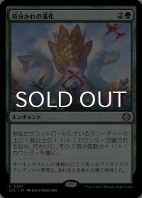 枝分かれの進化/Branching Evolution 【日本語版】 [LCC-緑R]