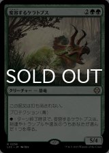 変容するケラトプス/Shifting Ceratops 【日本語版】 [LCC-緑R]