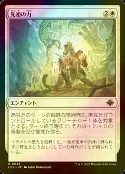 画像1: [FOIL] 先祖の力/Might of the Ancestors 【日本語版】 [LCI-白U]