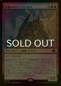 [FOIL] 骨集めのドラコサウルス/Bonehoard Dracosaur (海外産ブースター版) 【日本語版】 [LCI-赤MR]