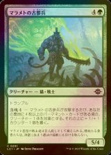 [FOIL] マラメトの古参兵/Malamet Veteran 【日本語版】 [LCI-緑C]