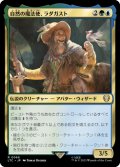 自然の魔法使、ラダガスト/Radagast, Wizard of Wilds 【日本語版】 [LTC-金R]