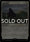 流刑への道/Path to Exile 【日本語版】 [LTC-白U]
